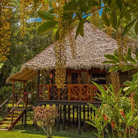Corto Maltes Amazonia Lodge Пуерто Малдонадо Екстериор снимка