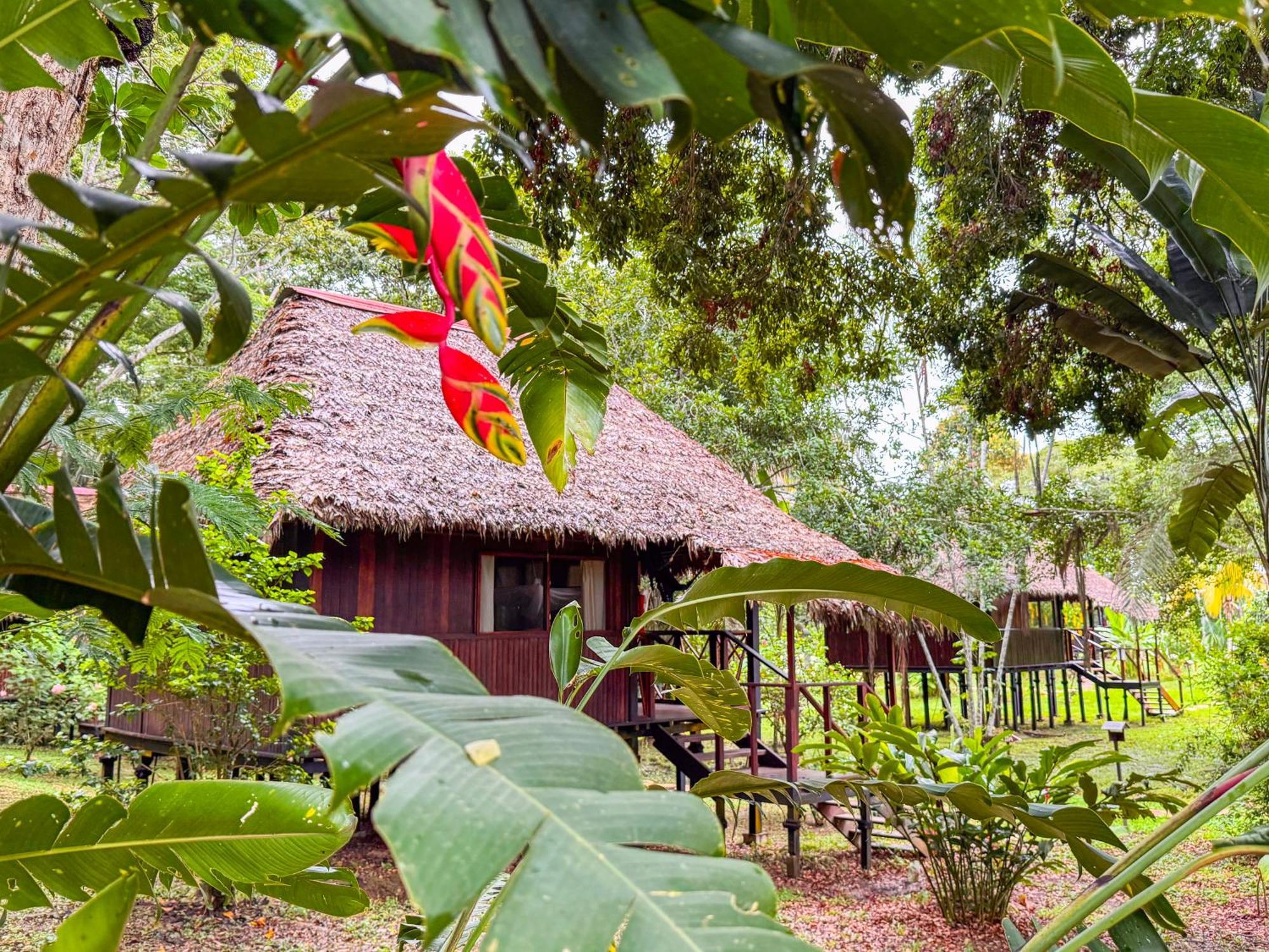 Corto Maltes Amazonia Lodge Пуерто Малдонадо Екстериор снимка