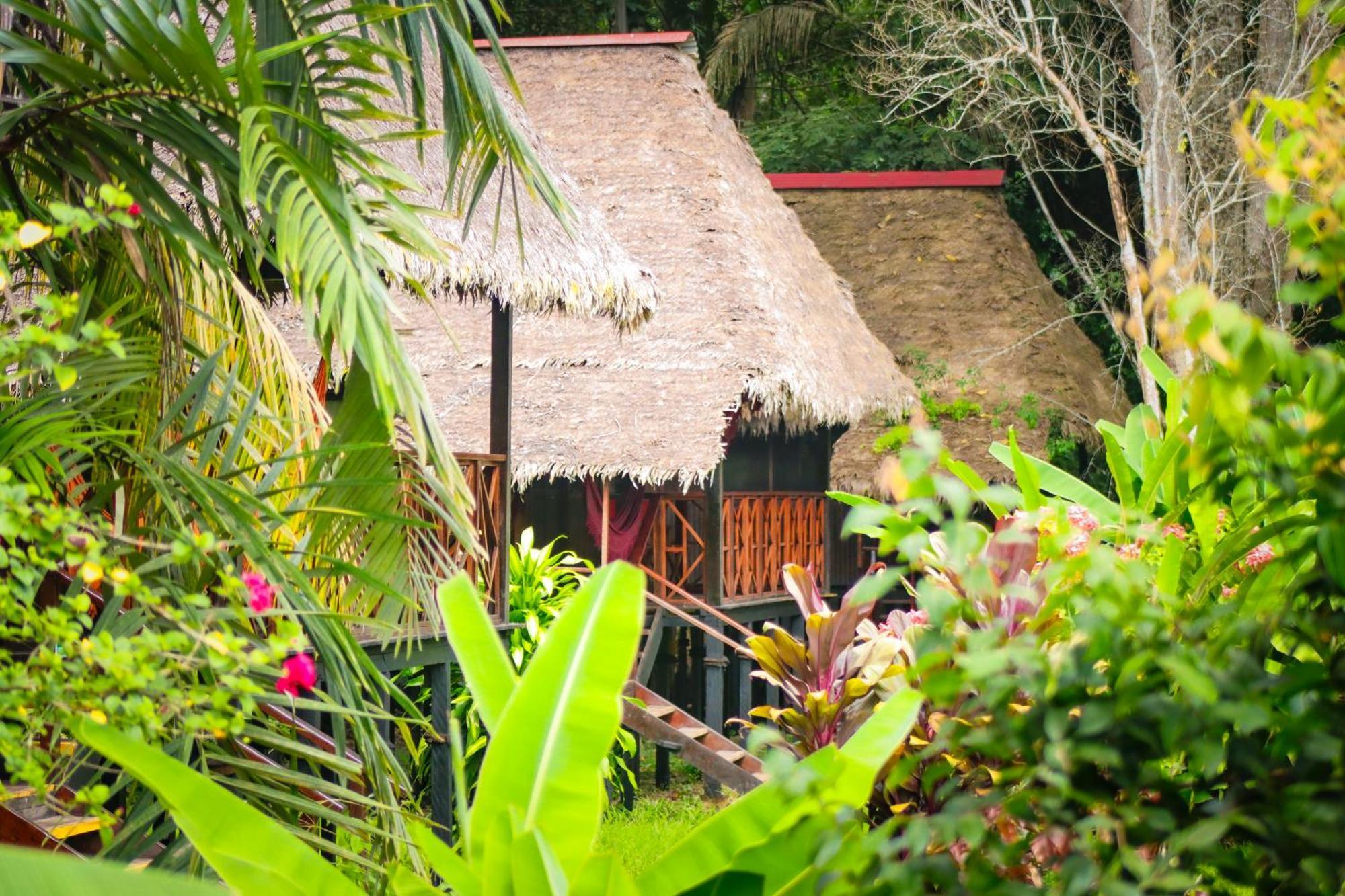 Corto Maltes Amazonia Lodge Пуерто Малдонадо Екстериор снимка