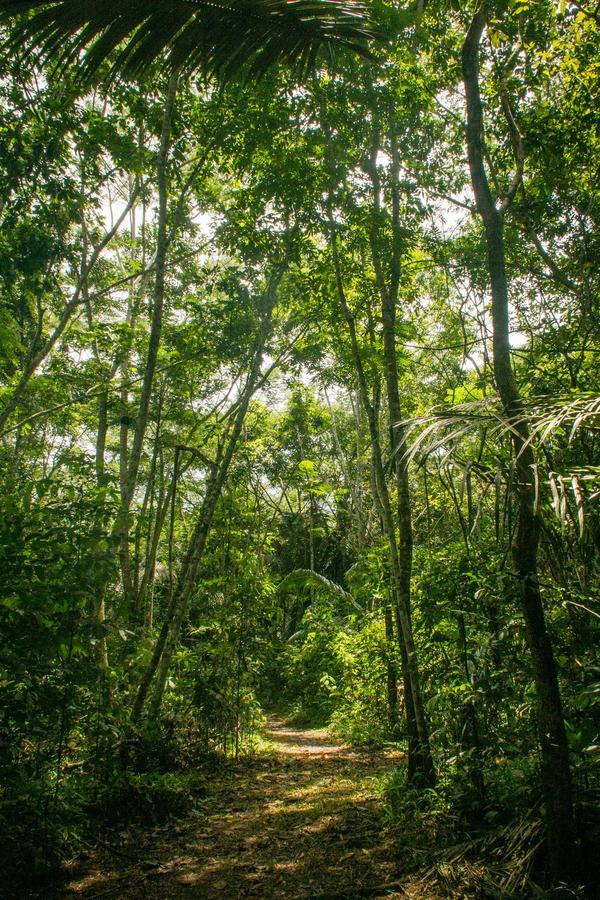 Corto Maltes Amazonia Lodge Пуерто Малдонадо Екстериор снимка